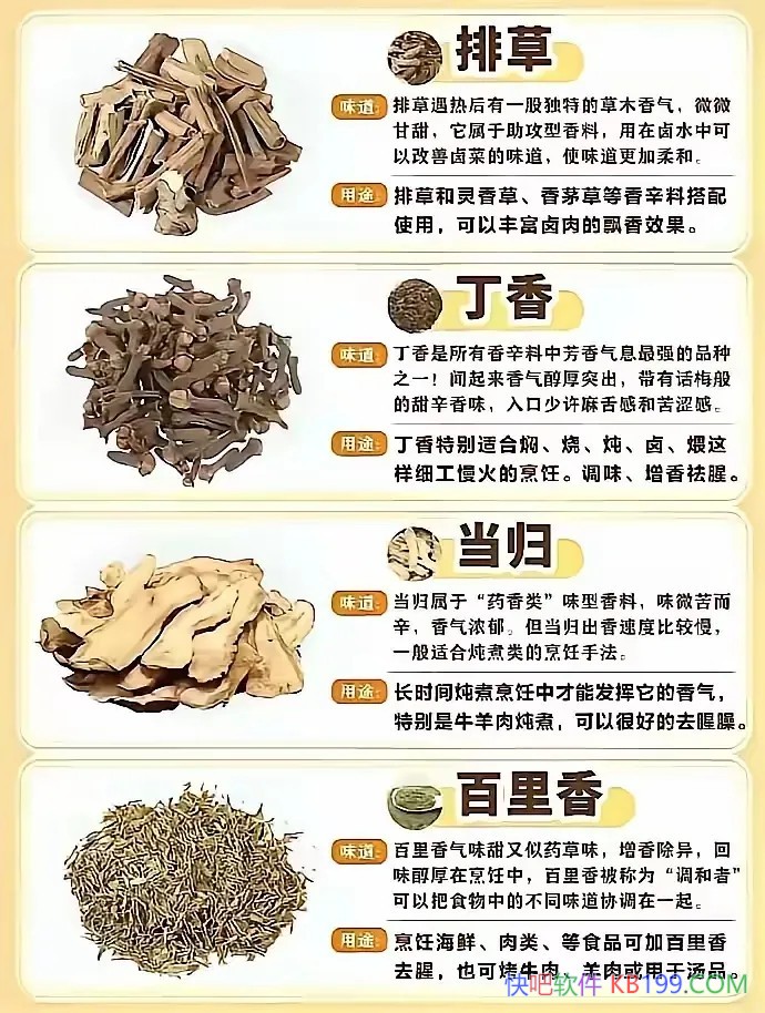 各种香料和草药的功能及用途